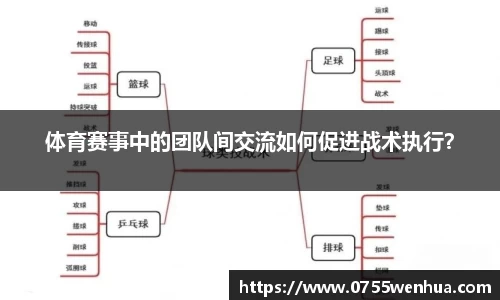 体育赛事中的团队间交流如何促进战术执行？
